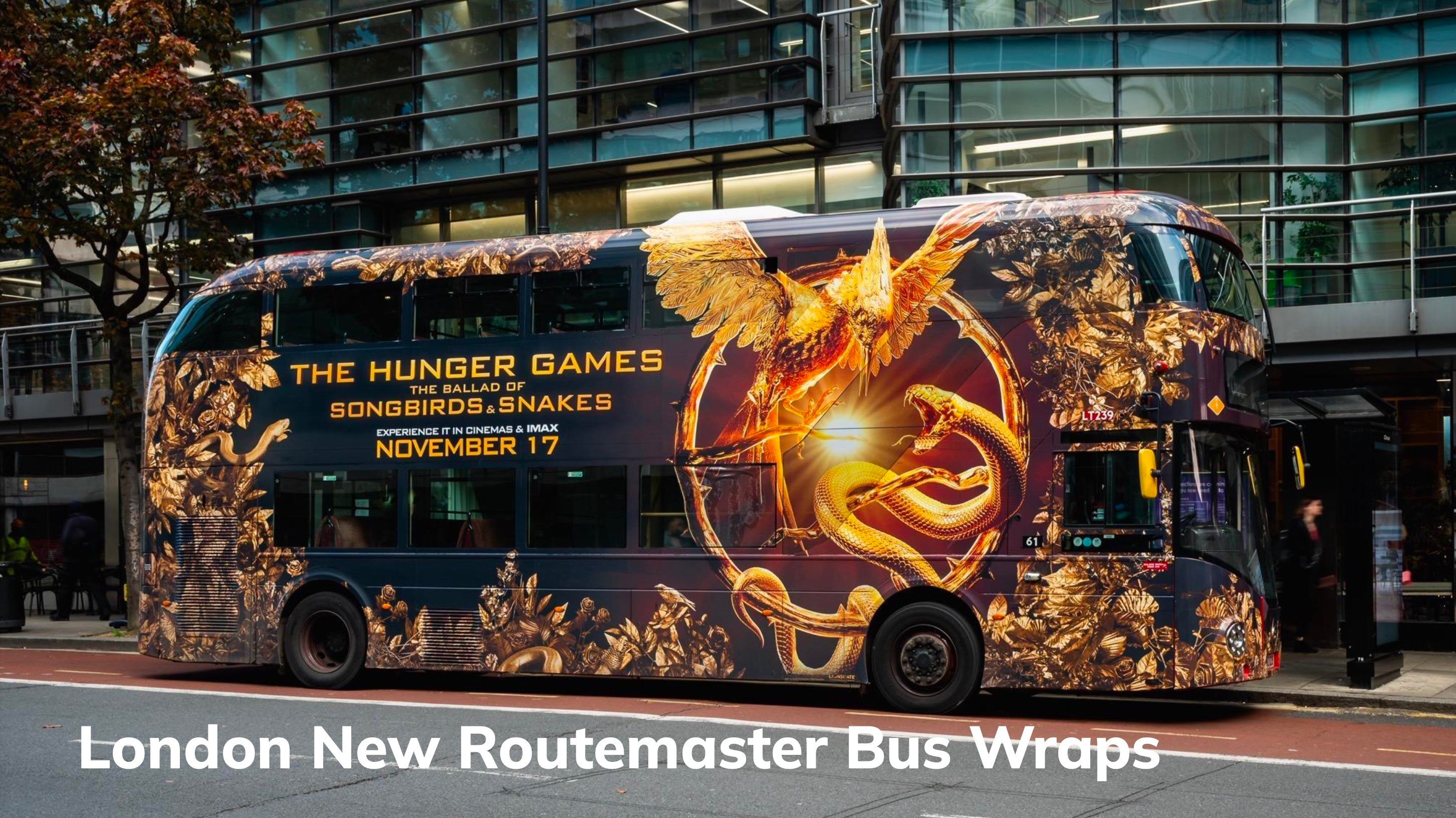 Vermilion Pinstripes Bus Wraps Advertising